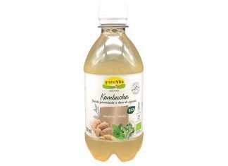 KOMBUCHA JENGIBRE-MENTA BIO 330 ml.