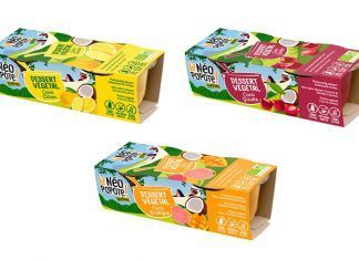Postres vegetales: 3 nuevos sabores vegetales ligeros y afrutados, de Danival