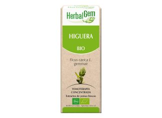 Yema de Higuera Bio 50ml, de Herbalgem
