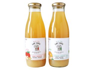 Zumo de Manzana con Jengibre y Limonada con Manzana y Jengibre, de Cal Valls