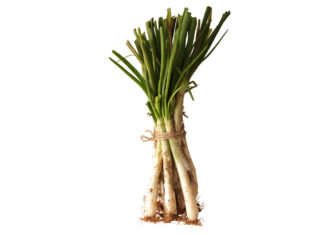 Calçots, de Cal Valls