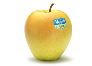 Golden Delicious Marlene® Bio