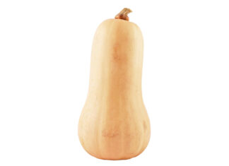 Calabaza Violín, de Cal Valls