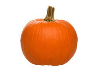 Calabaza, de Hortec