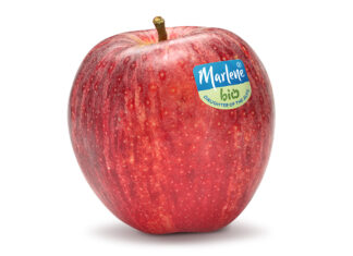 Gala Marlene® Bio