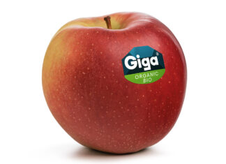 Giga® Bio