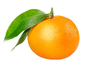 Mandarina, de Hortec