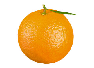 Naranjas, de Hortec