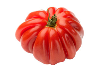 Tomates, de Hortec