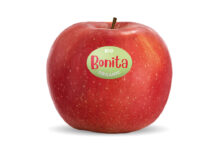 Bonita Bio