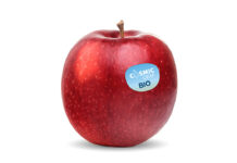 Cosmic Crisp® Bio