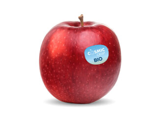 Cosmic Crisp® Bio