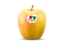 Golden Delicious Bio