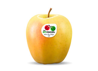 Golden Delicious Bio